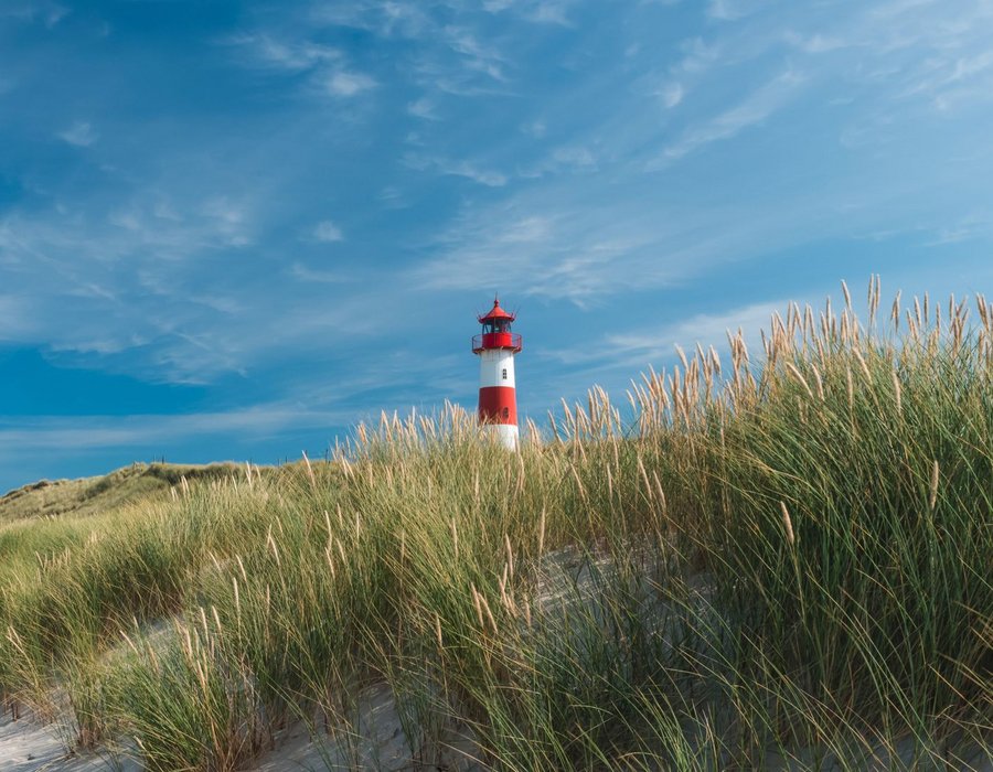 23. SommerSpecial Arbeitsrecht