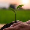 Selected ESG regulations